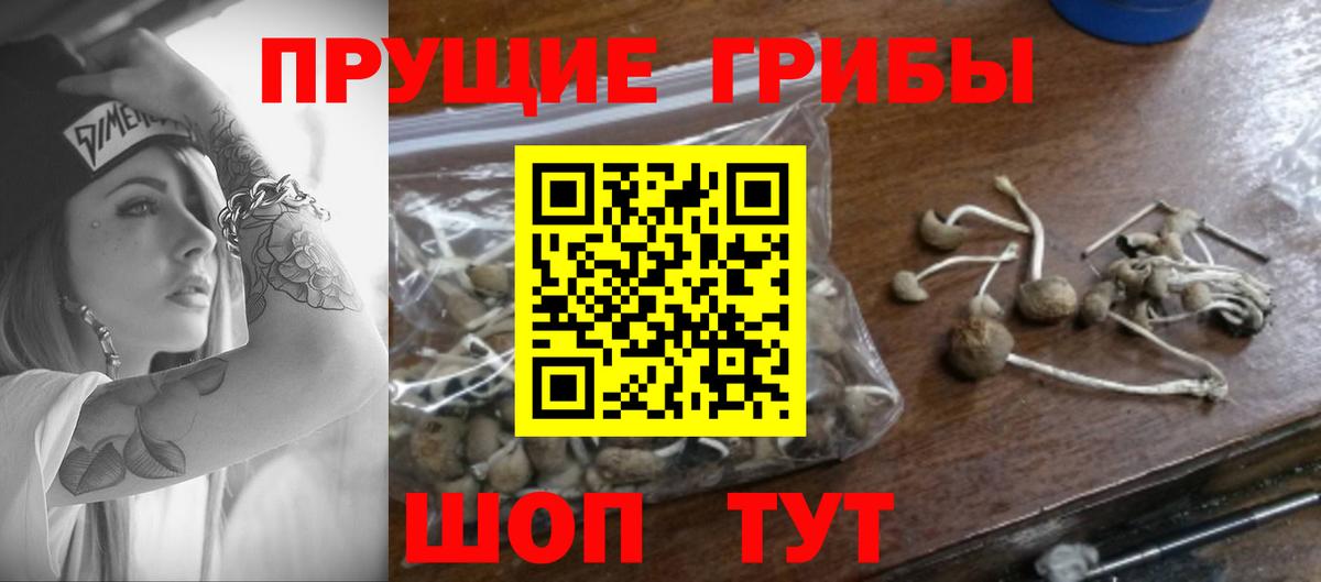 Псилоцибиновые грибы MAGIC MUSHROOMS Кинешма