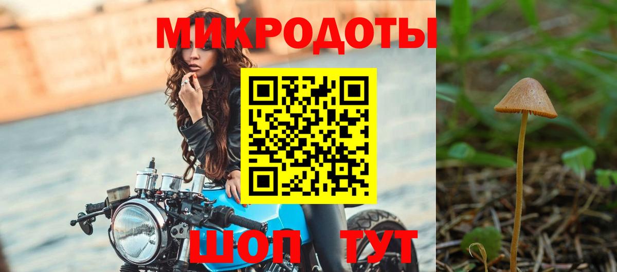 где купить   Вход с VPN  Кинешма  Псилоцибиновые грибы GOLDEN TEACHER 